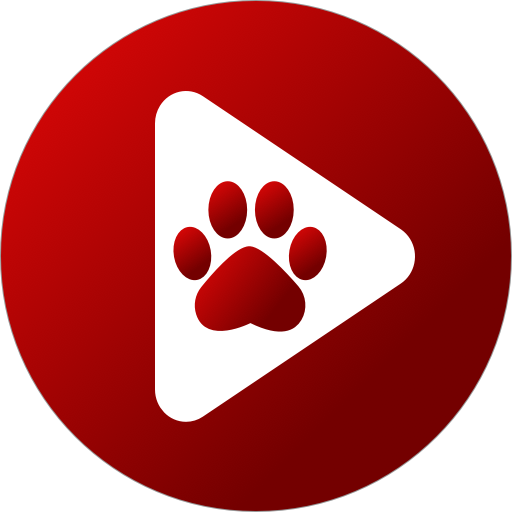 Bplayer Logo